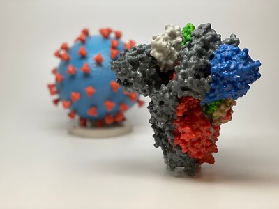 Sars Cov 2 Spike Protein