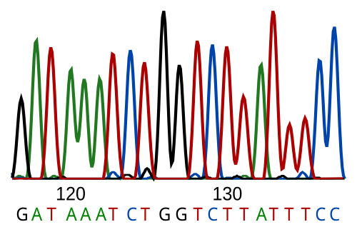 DNA helix illustration